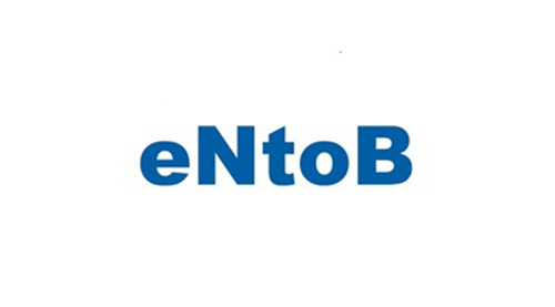 엔투비